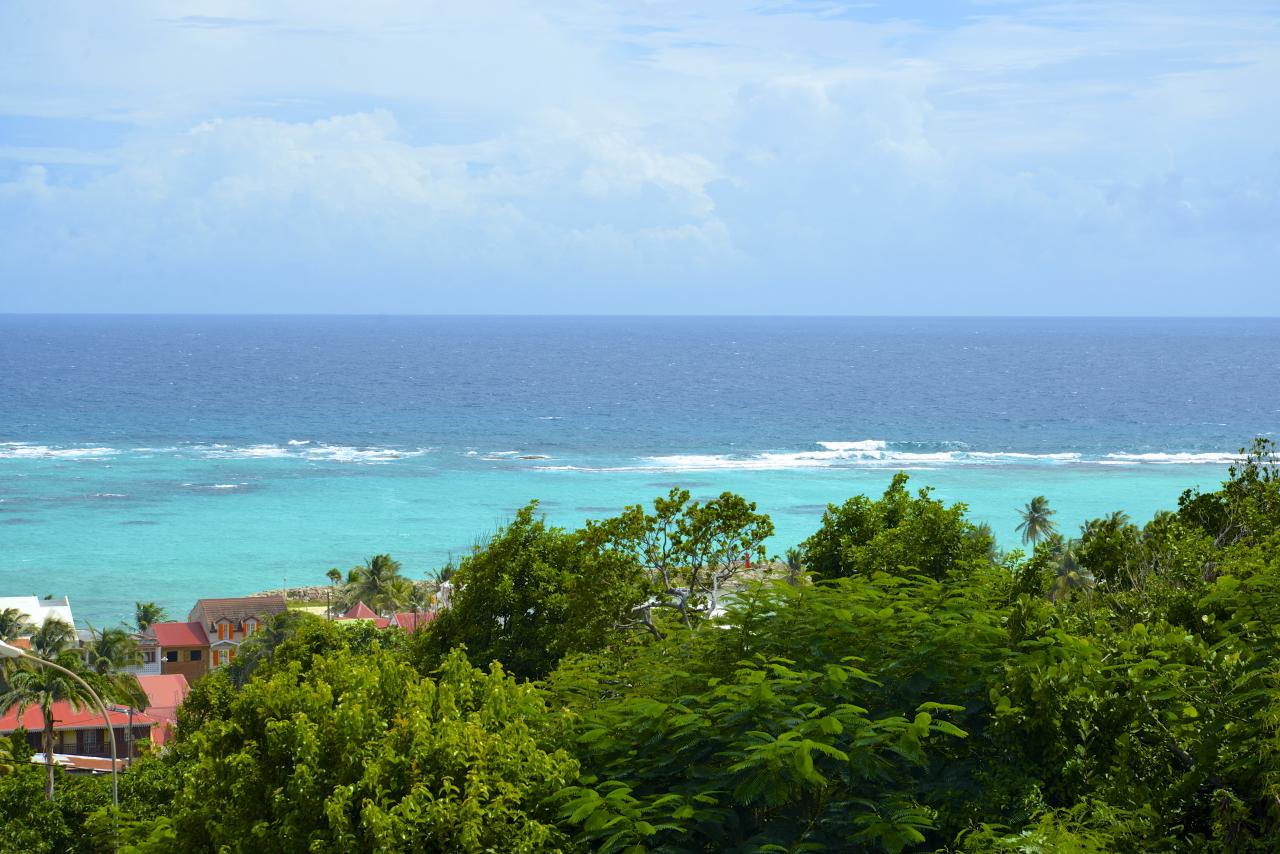DSC_4360