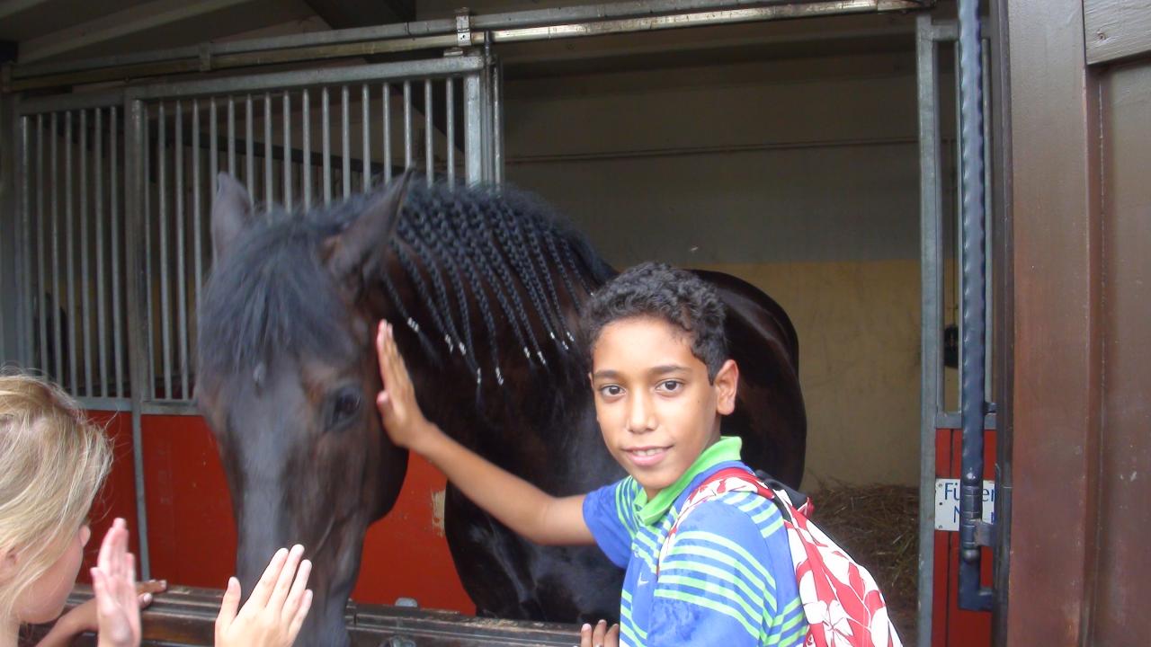 DSC01493