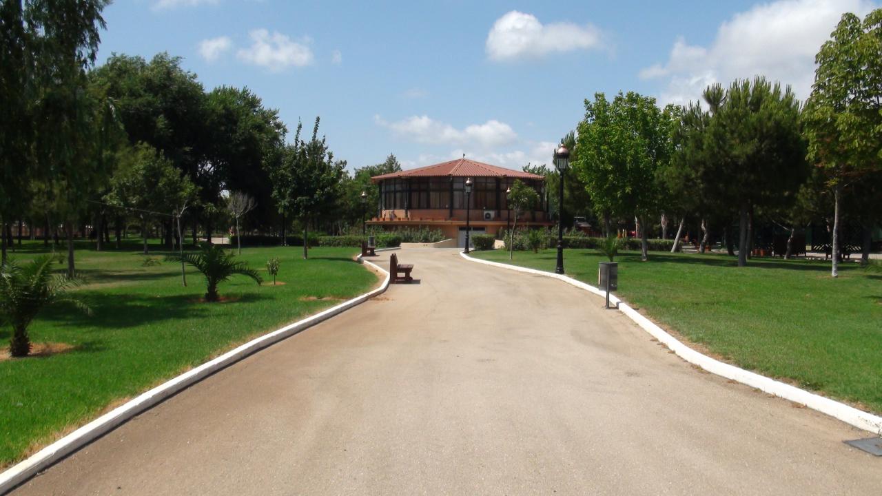 DSC01742