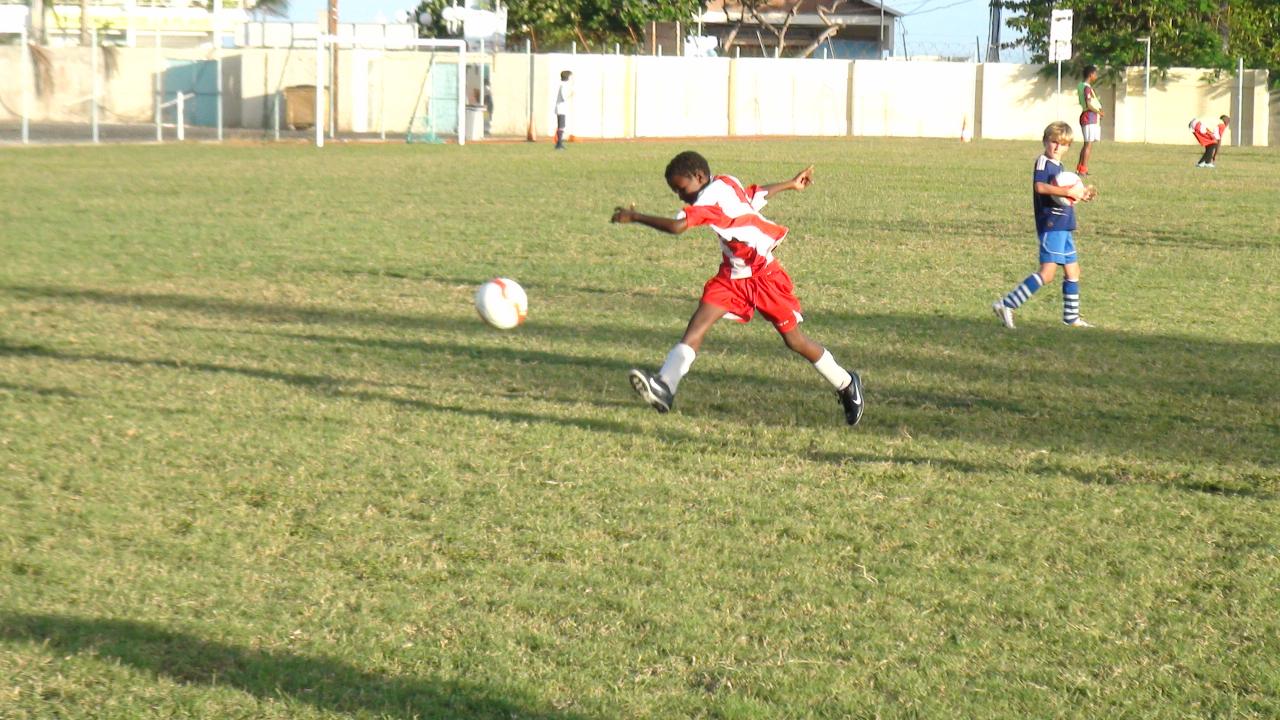 DSC02271