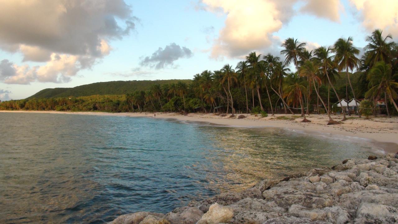 DSC02297