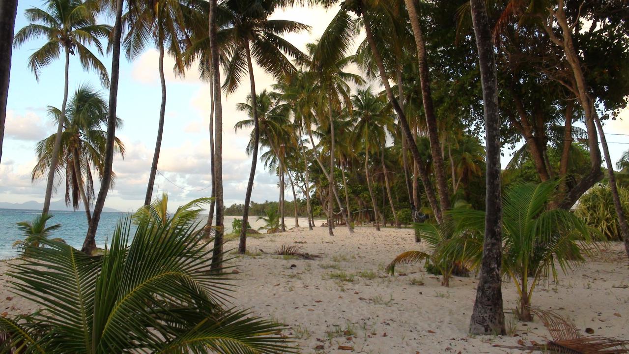 DSC02300