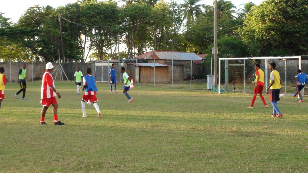DSC02310